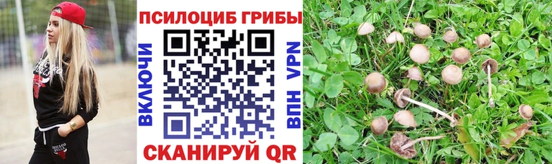 Псилоцибиновые грибы Magic Shrooms  Куровское 